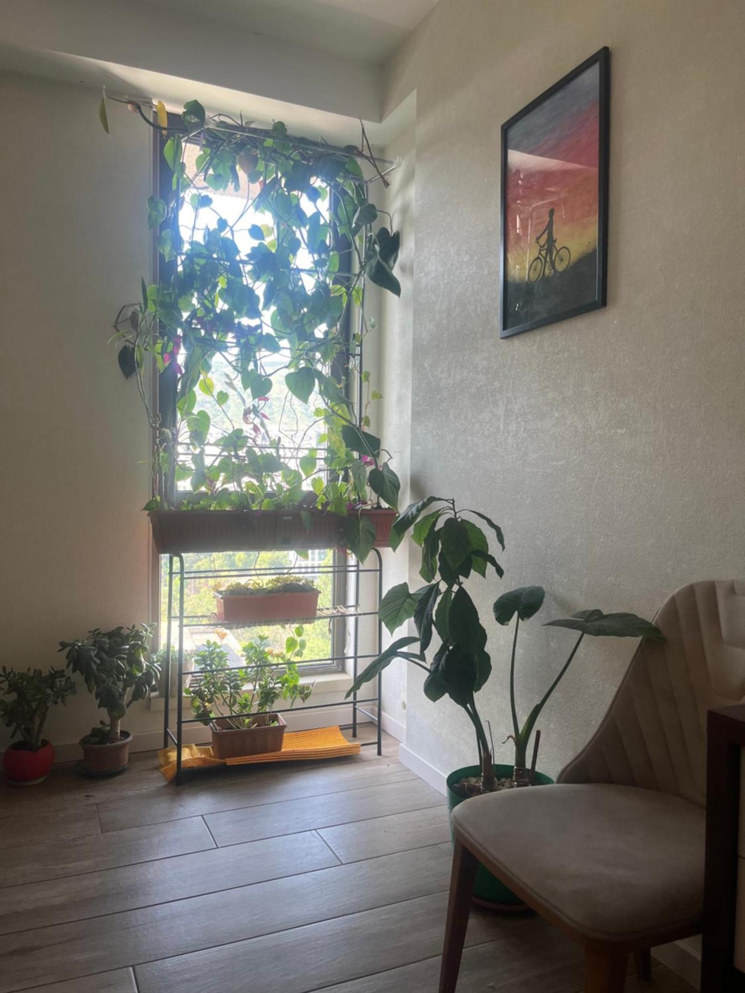 Panorama Khiliani Apartment Tbilisi Bagian luar foto